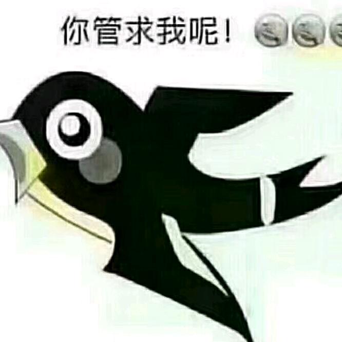 洋爱菊