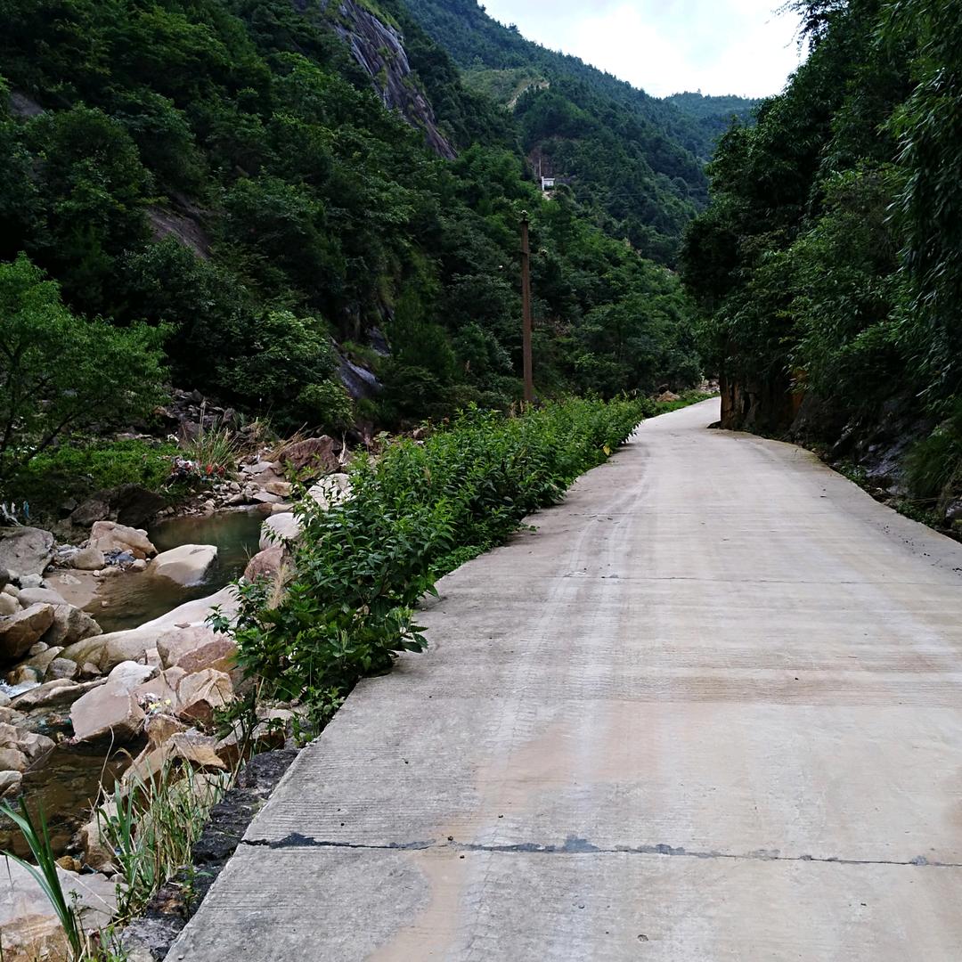 山水情