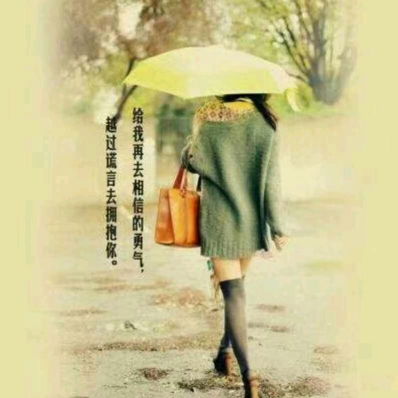 陈晓慧