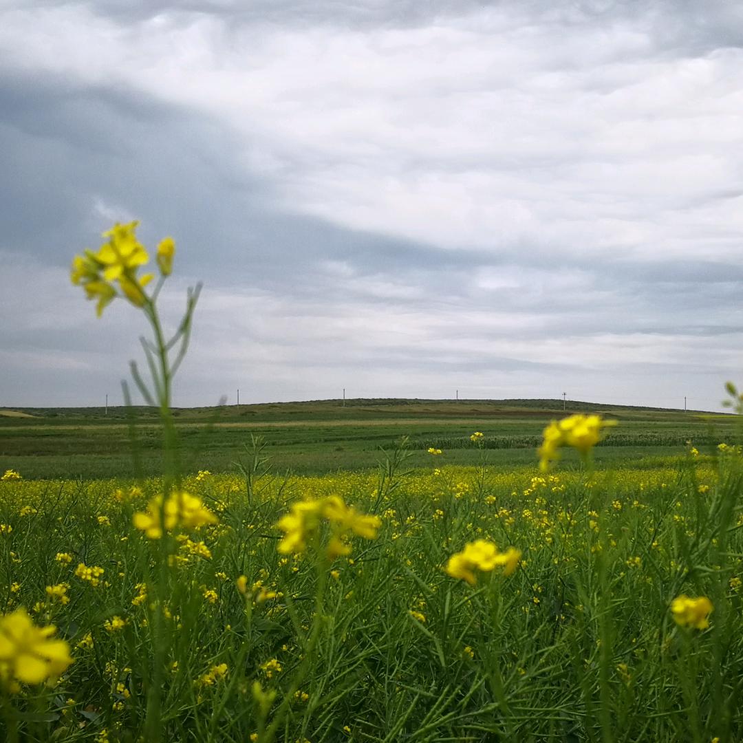 心向东出～吾昂旺