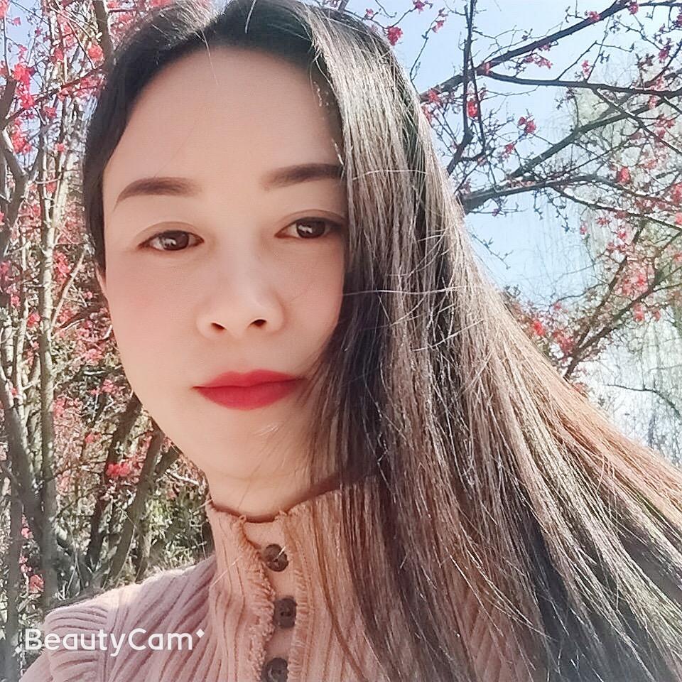 心然百合