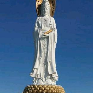 《善行￥天下》