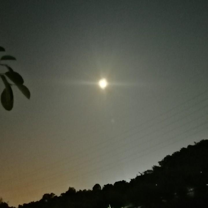 随心