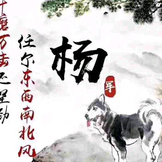 y,zk木易康哥