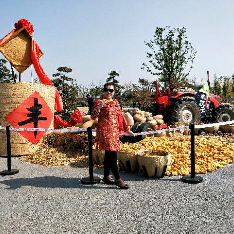 霞光🌼
