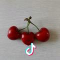 ARCHE