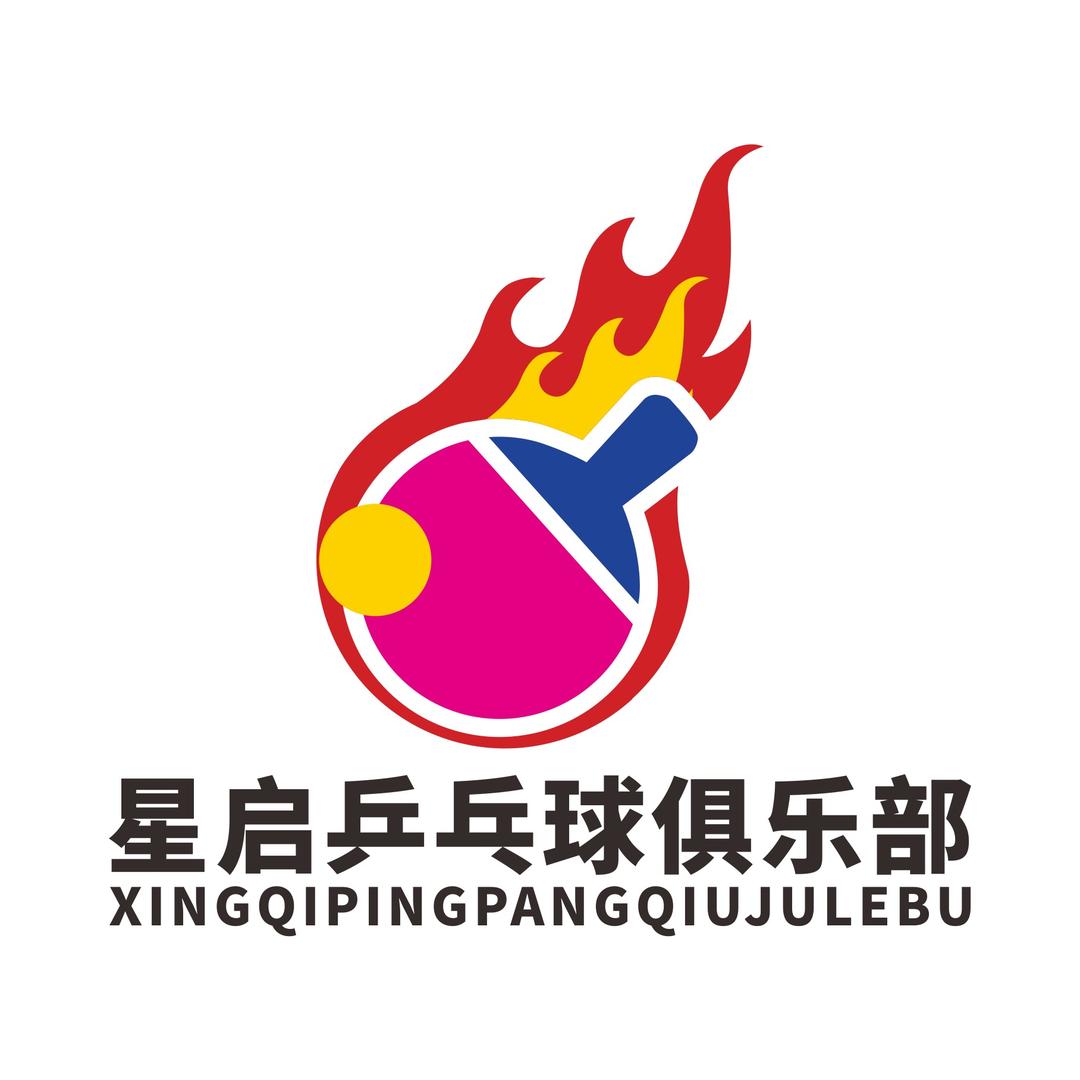 淮南市星启乒乓球俱乐部（少儿培训）