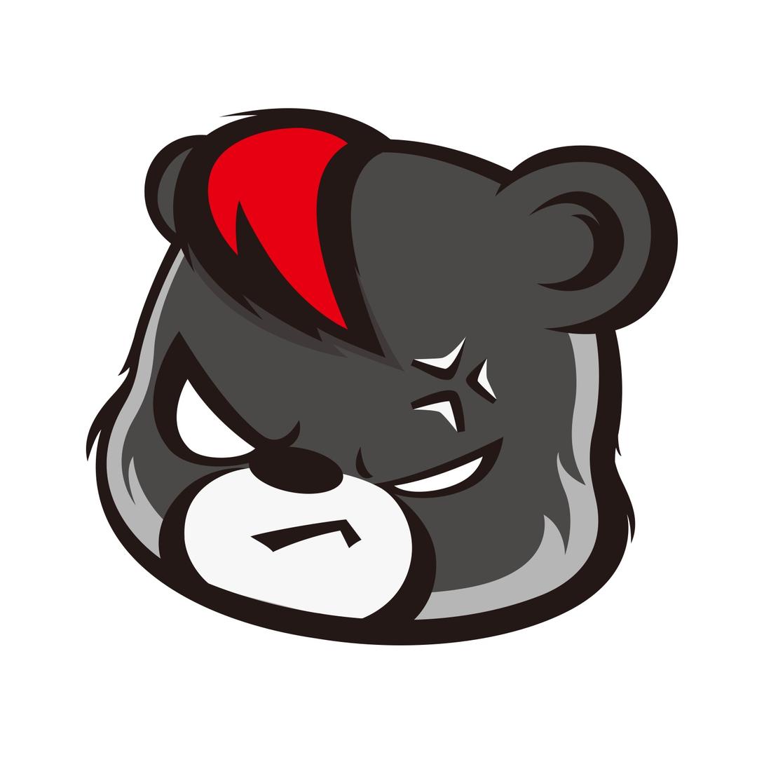 炸毛熊