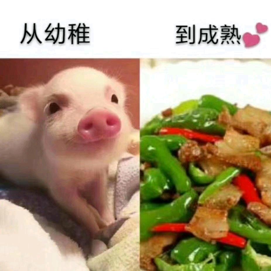 某某某✨
