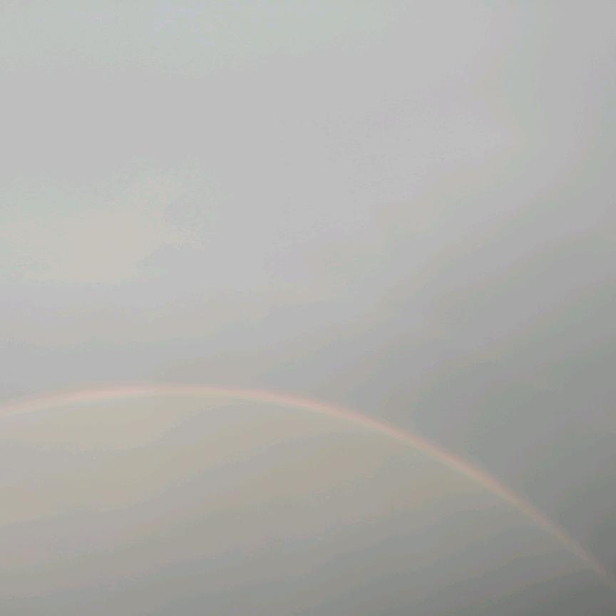 太陽的寵兒