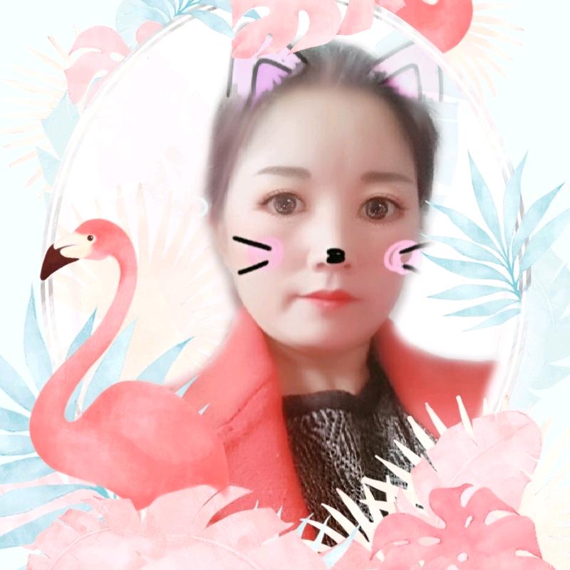 书中自有黄金屋