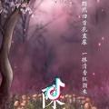 果粒♥陈