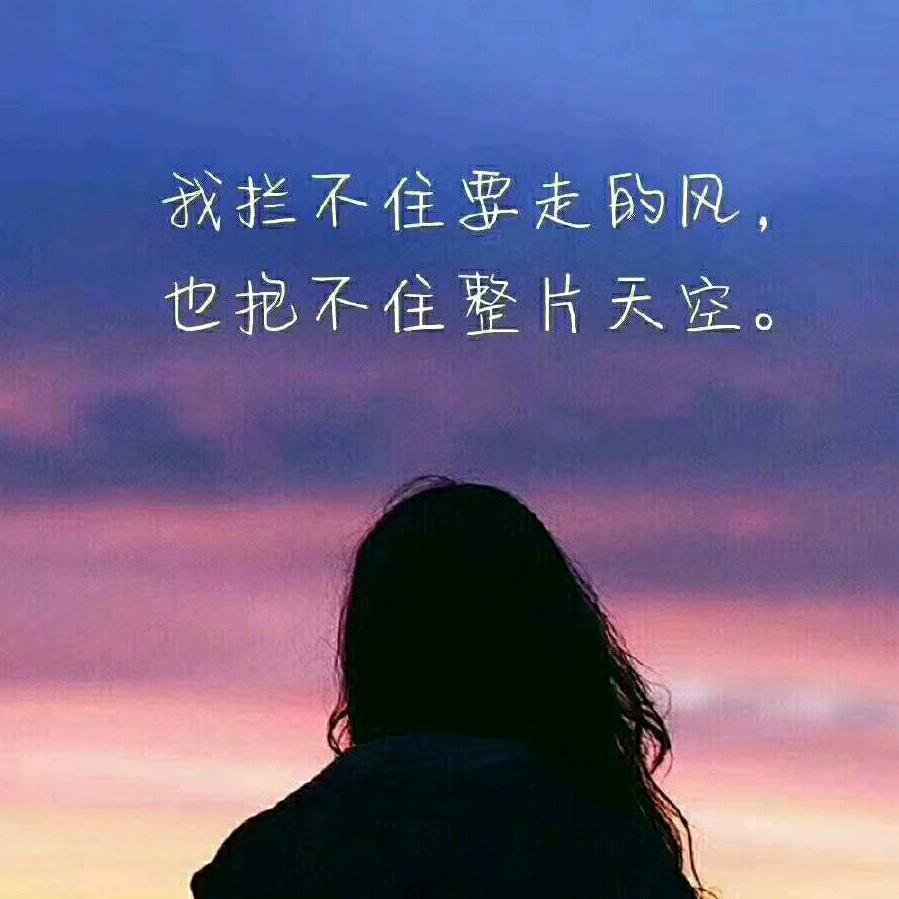 素手挽清风