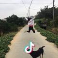 一切交给时间