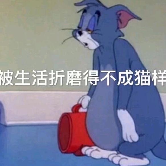 心琳则诚