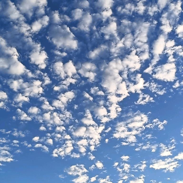 云水禅心