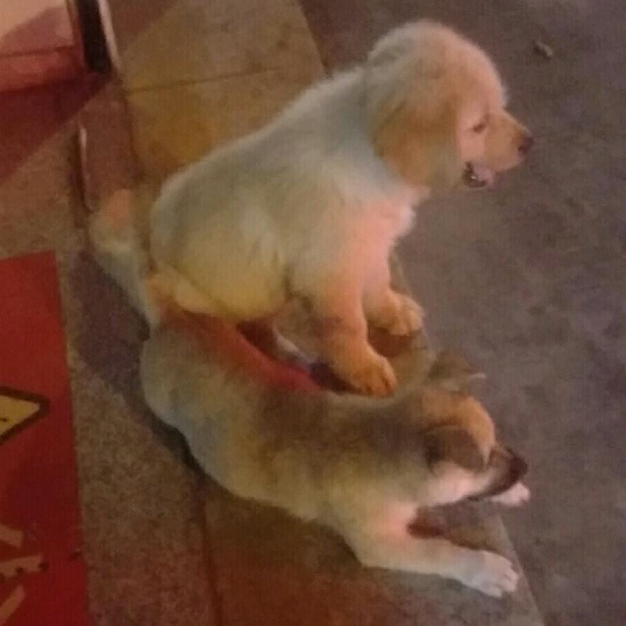 君林•悦泓民宿