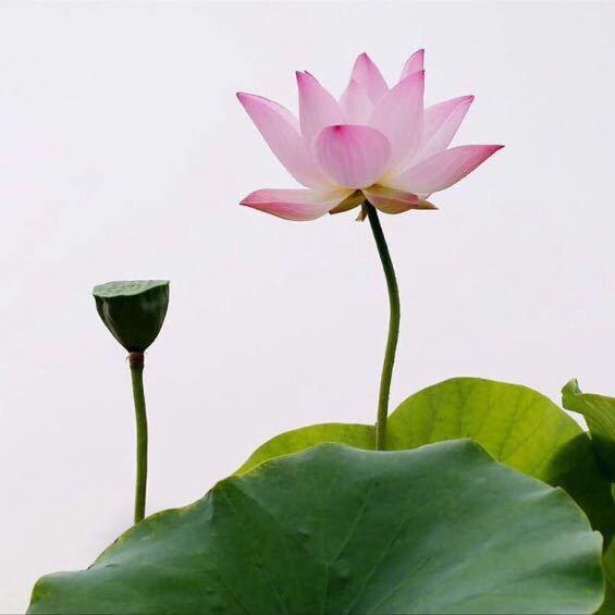 我是小小