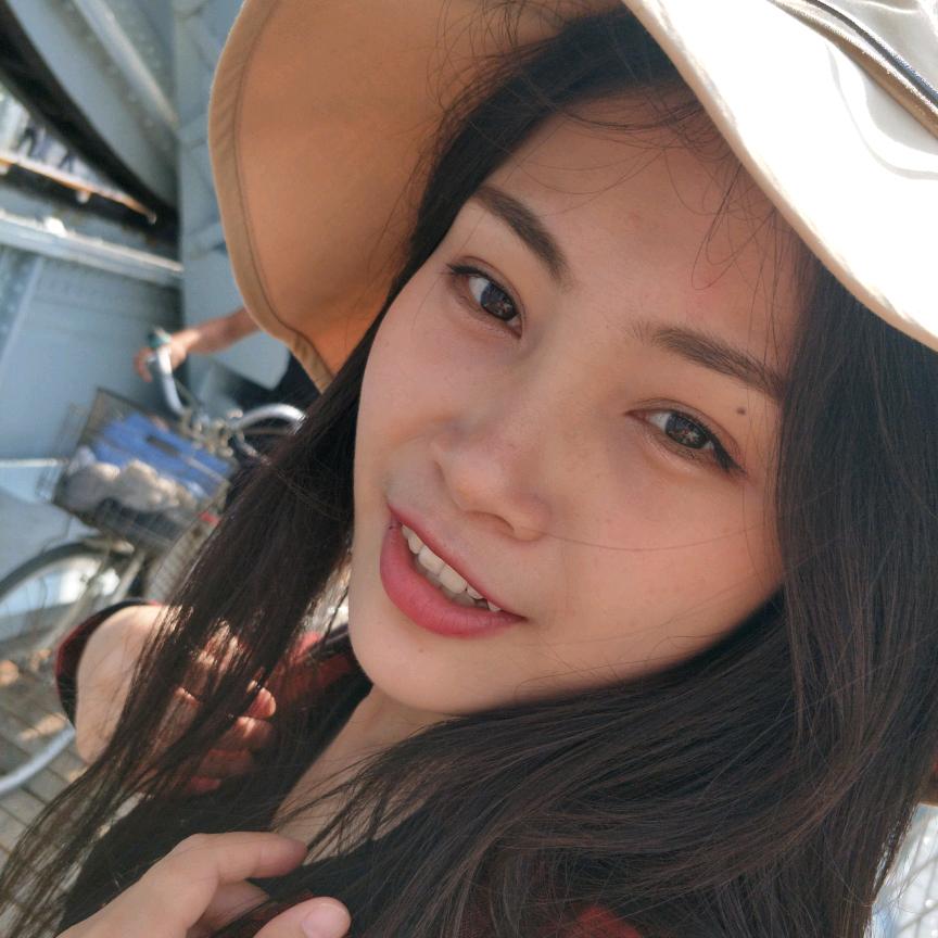 诺许