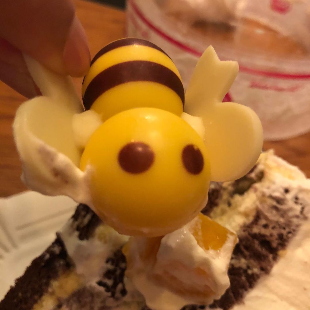 穿马甲的毛毛虫