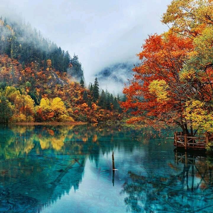 🦋🌈高山流水