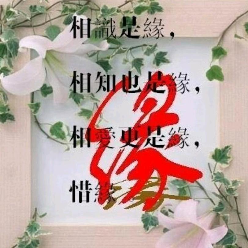 梦之缘