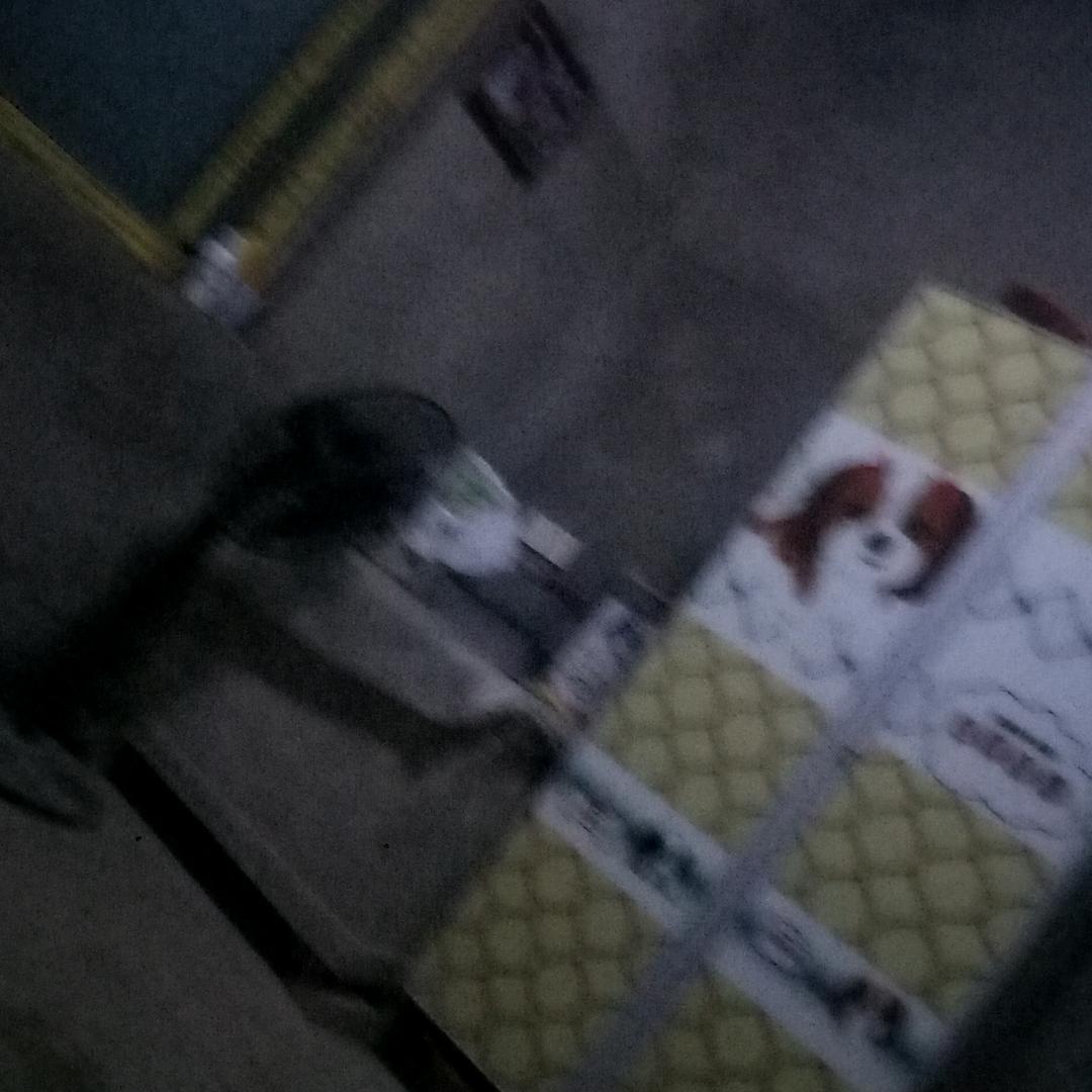 太阳