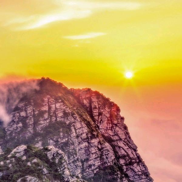 开开心心(๑ºั╰╯ºั๑)▽