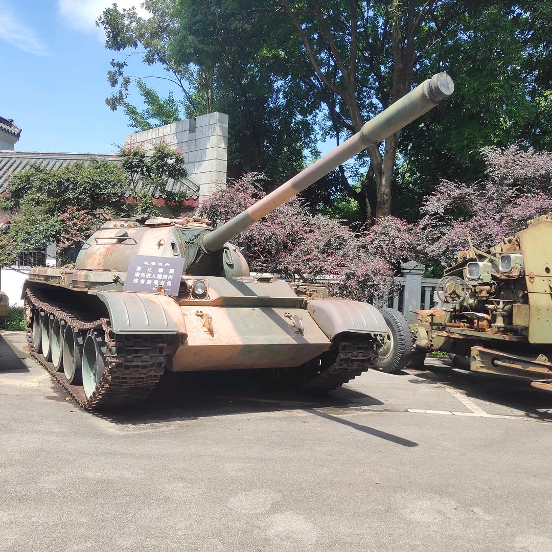 🌈鱼乐娱乐💫