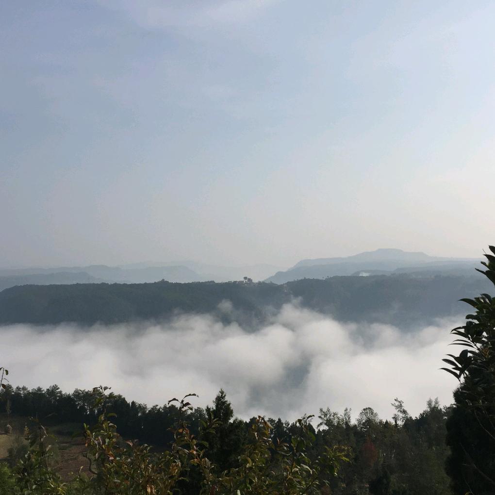 峰回路转