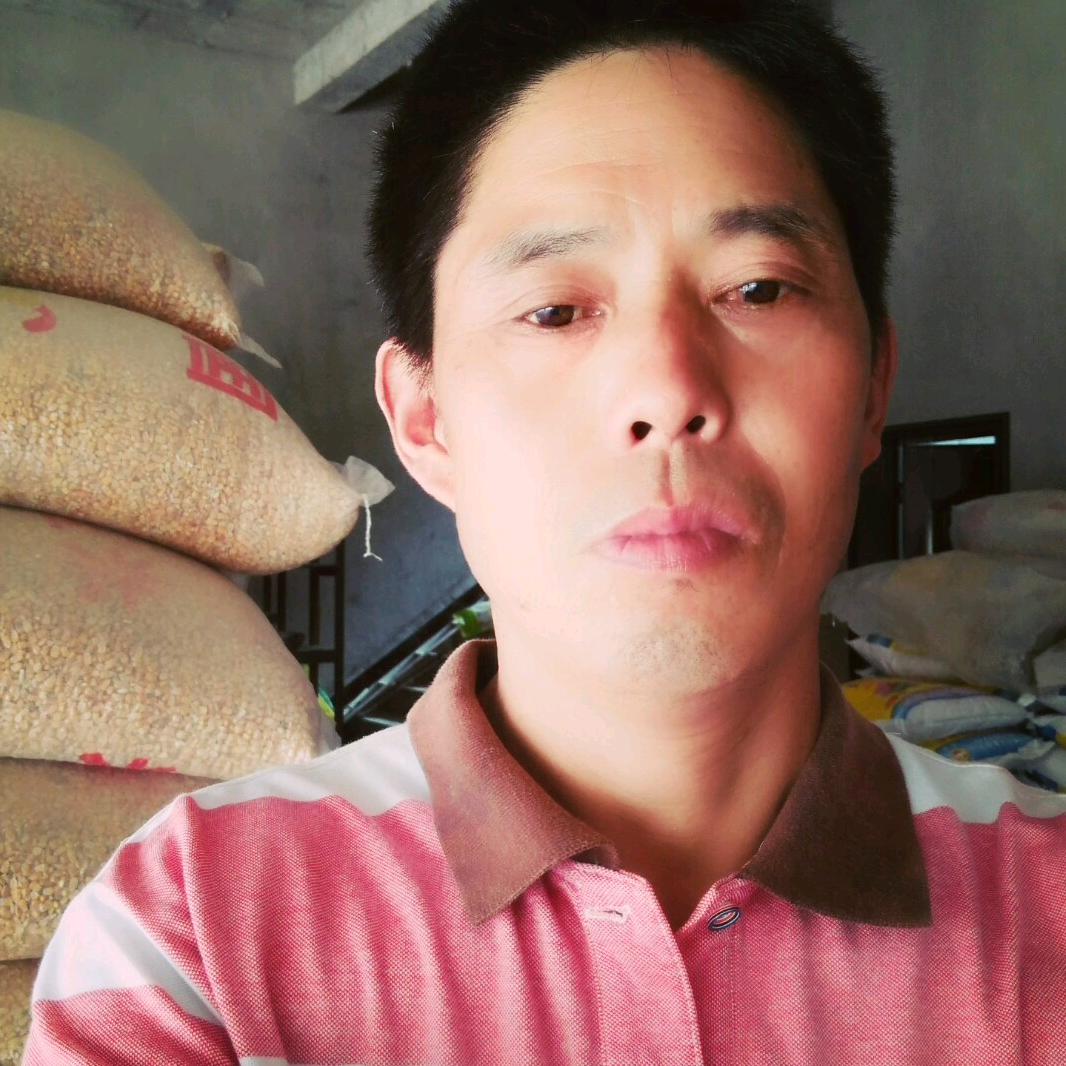 为梦想而战