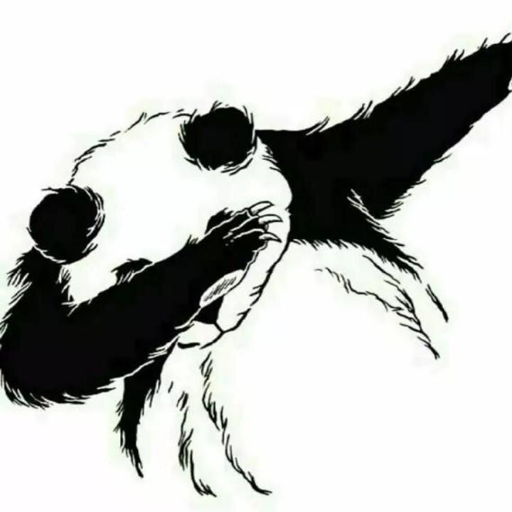 抖剪辑
