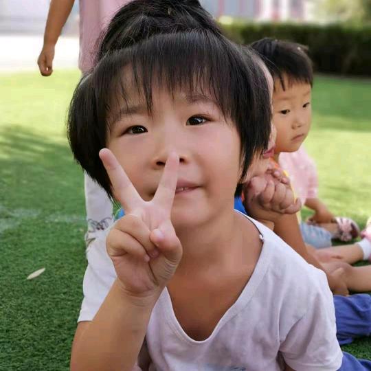 邹平市孙镇琰颖养殖场，牧草销售