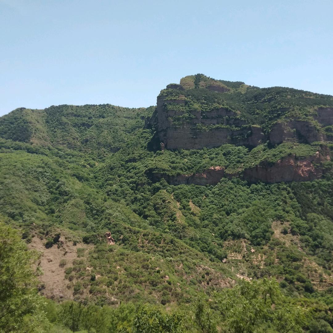 风中百合