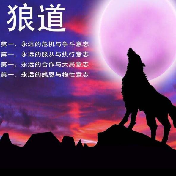 与狼共舞