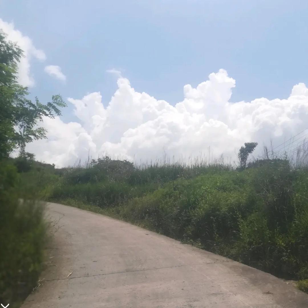 闪出新高度，照亮人生路