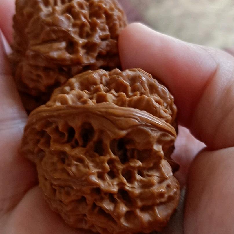 难得糊涂.