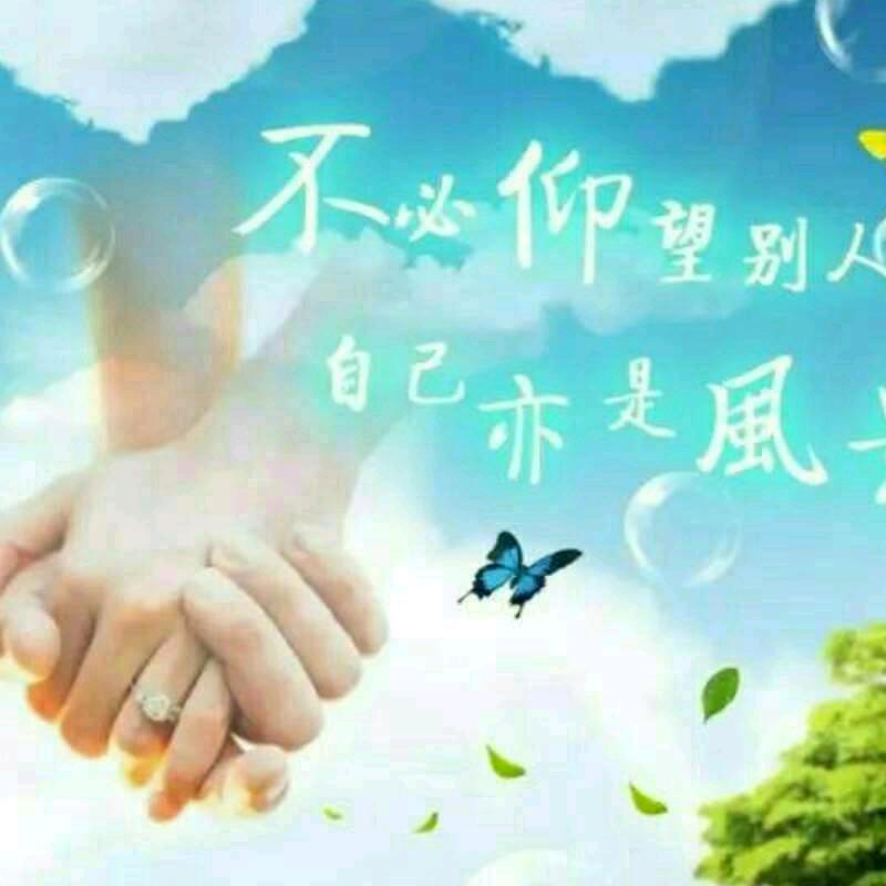 洋宸缘