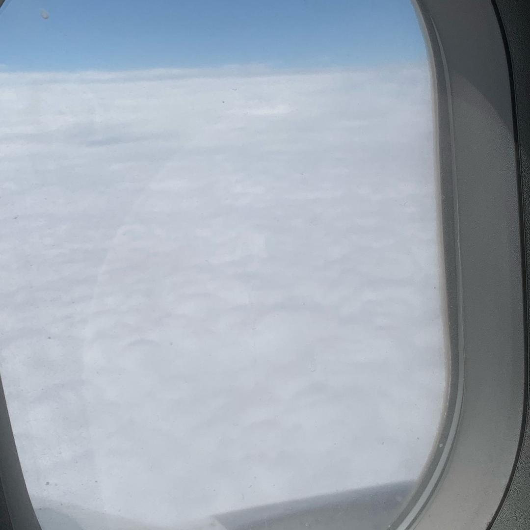 春风十里不如你