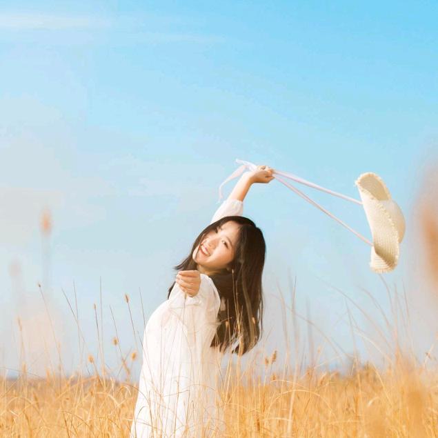 淘三宝