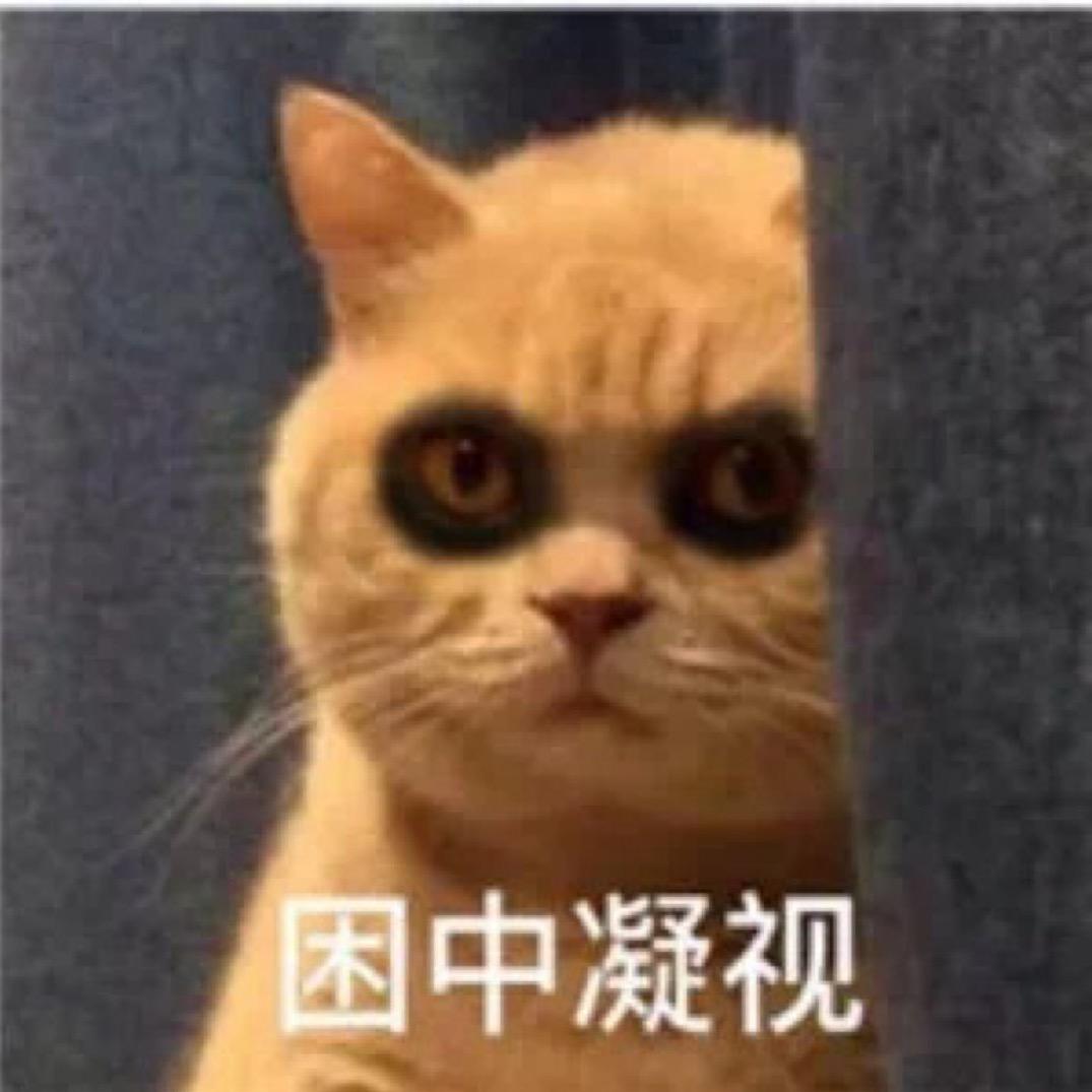 BO~