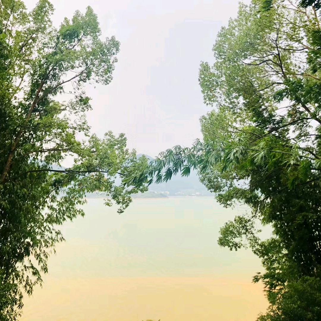 炮久哥男装