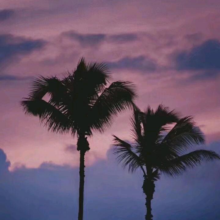 愿你好