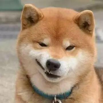 爱拍车模
