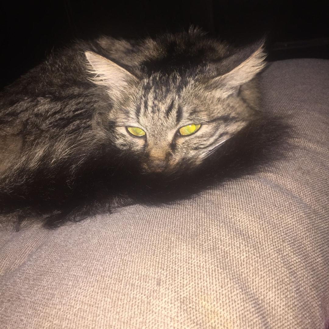 瑞福祥结绳工作室