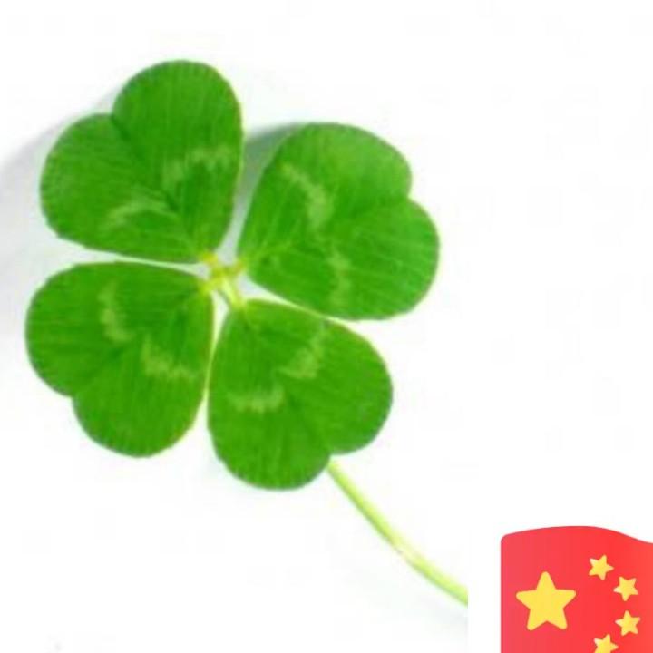 好好Ma正念｜观生活/家庭教育