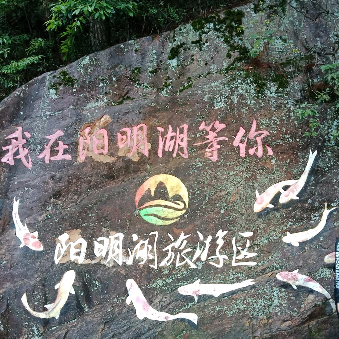 梅丿