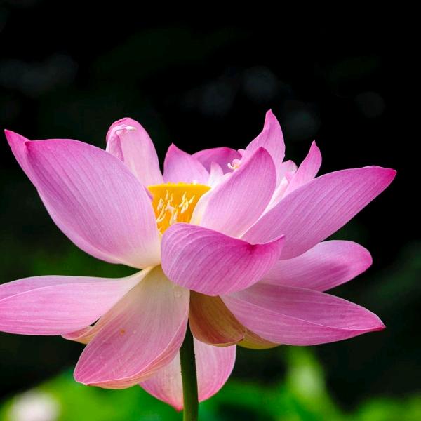 梦想驿站