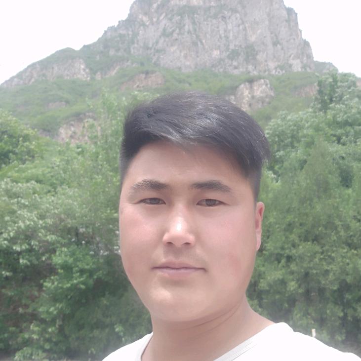 砀山振廷外墙装饰（璐宝仿石漆）