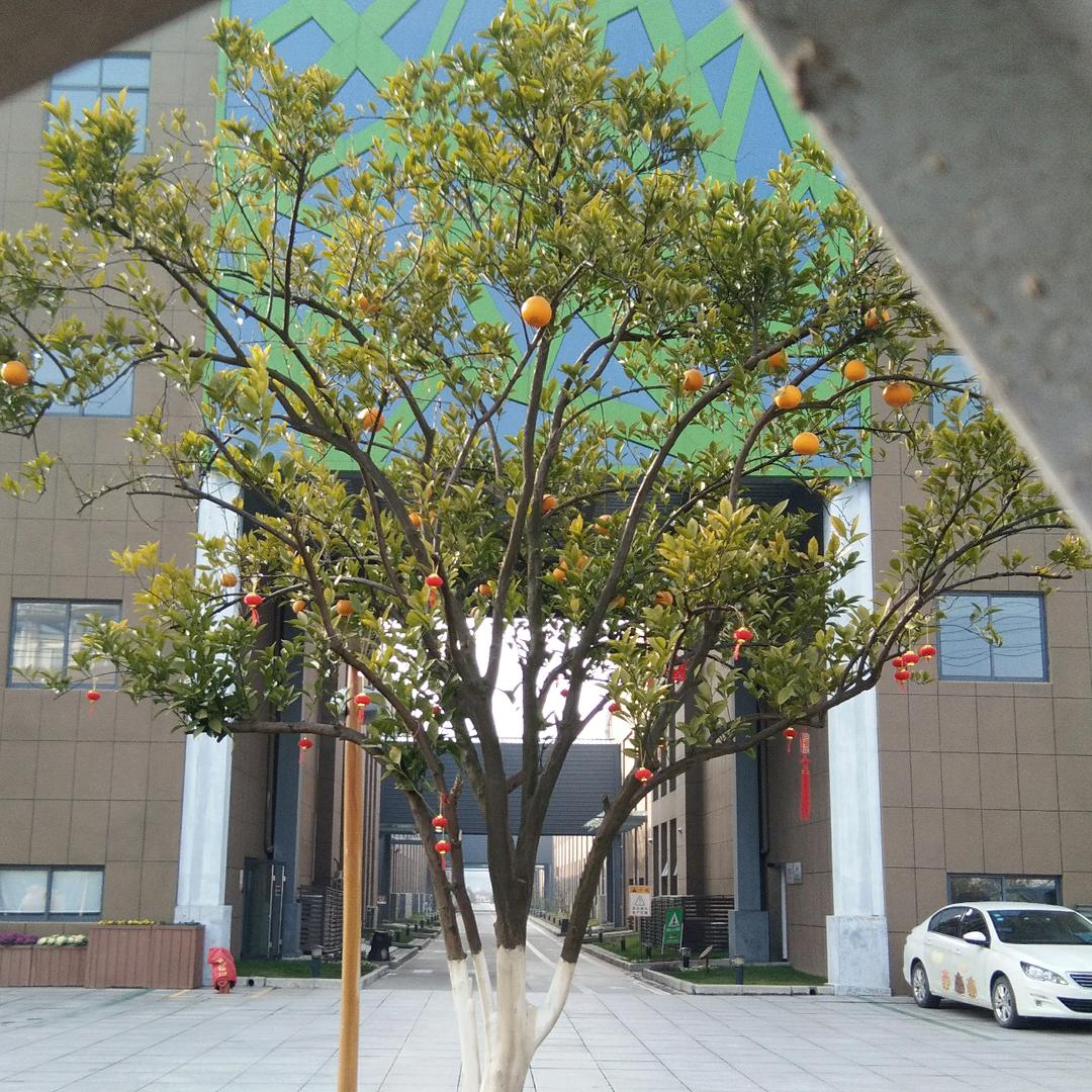 㞮孞